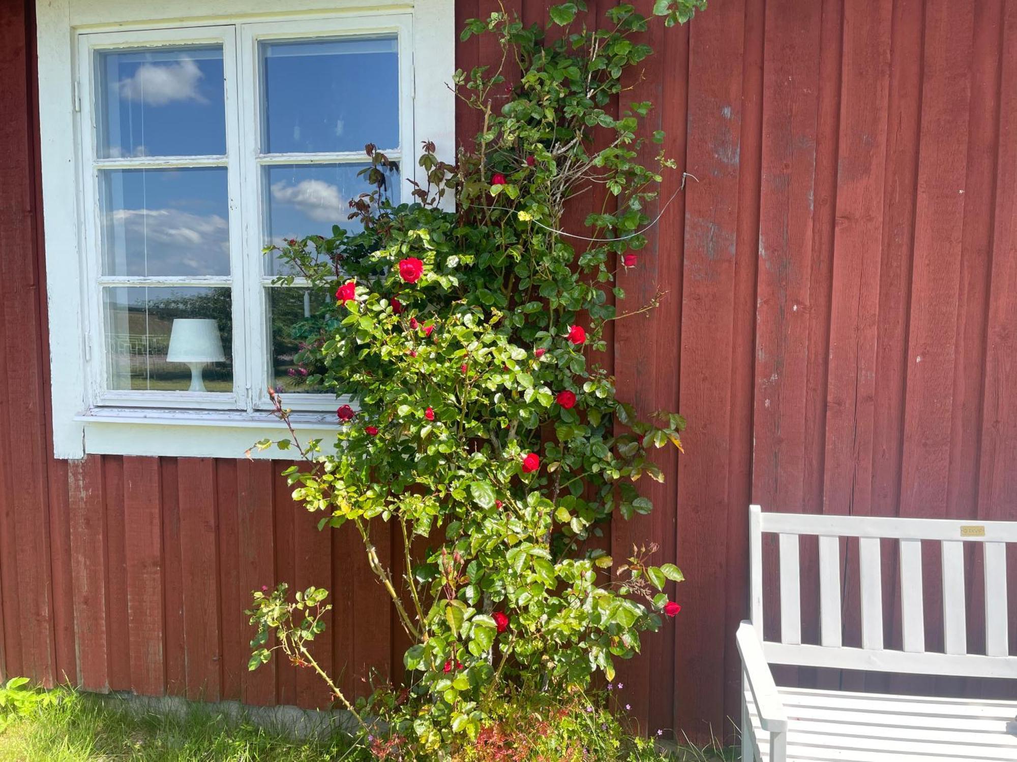 Vila Kapelludden Oestra Oeland Köpingsvik Exteriér fotografie